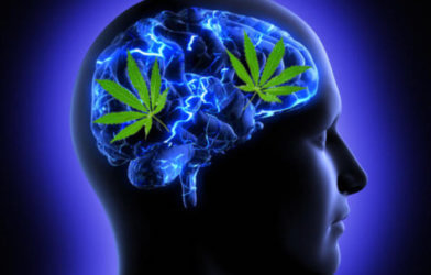 Marijuana effects on the brain