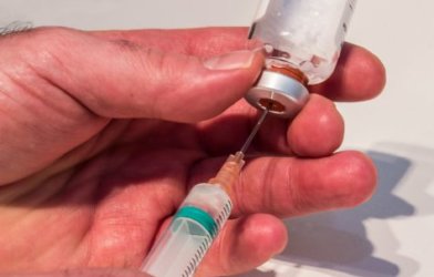 syringe, needle, antibiotics