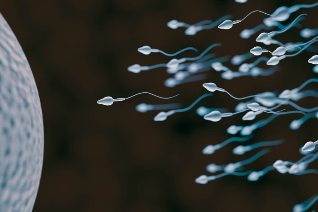 With a sperm switch, men can turn their fertility on and off
