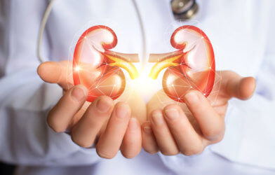 Doctor holding kidneys