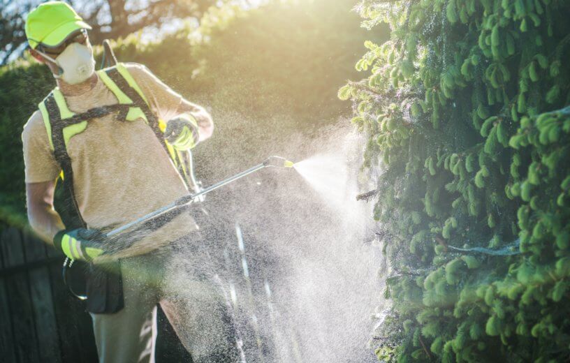 Landscaper or lawn care worker spraying pesticide