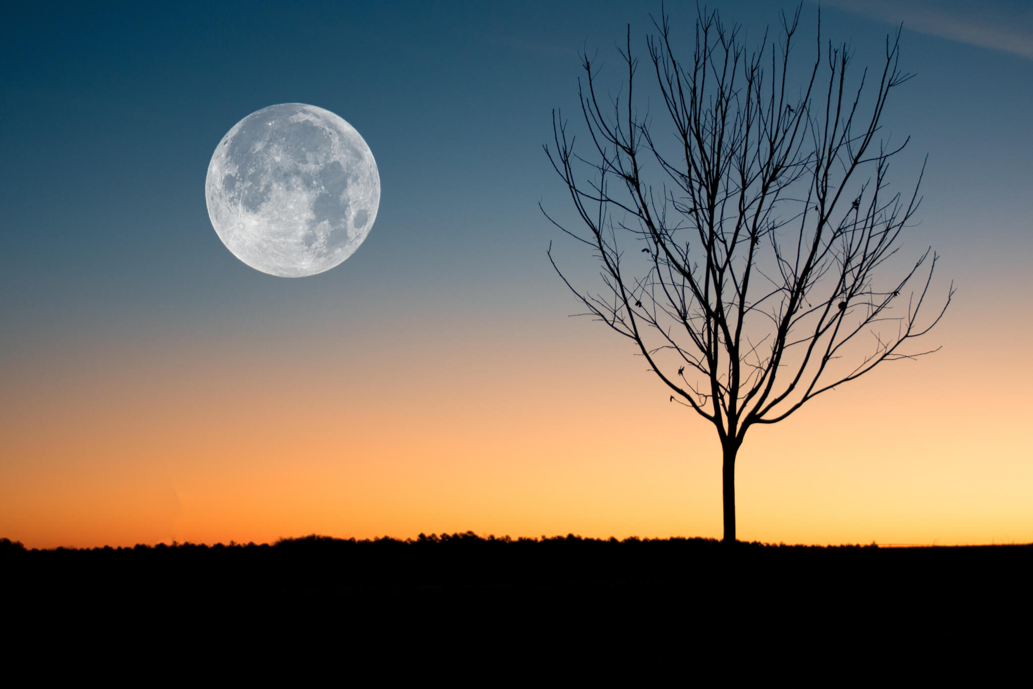 Full moons influence sleep patterns, cause people to go to bed later and get up early