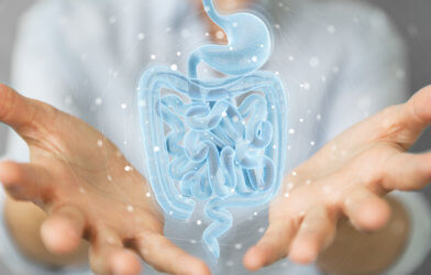 Human intestines, digestive tract for Crohn's disease, ulcerative colitis, IBD