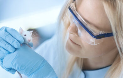 Scientist holding a lab mouse