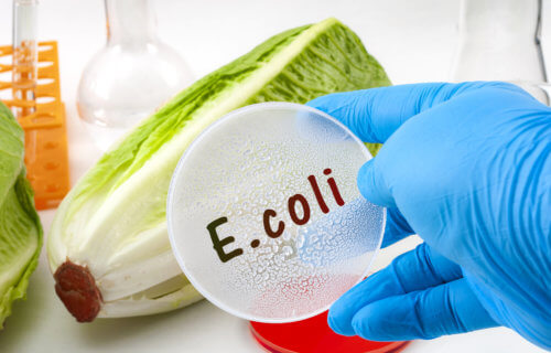 what is the best treatment for e coli?