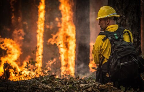 Firefighter battle wildfire, forest fire