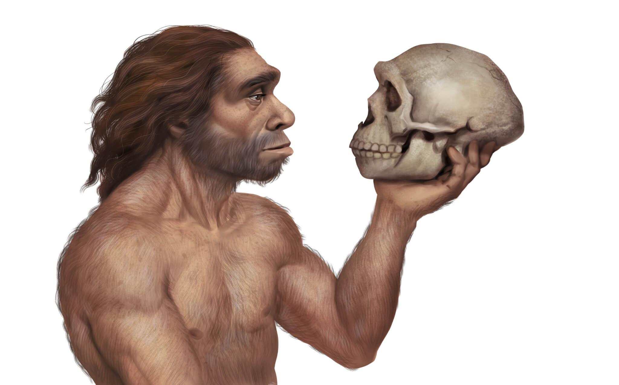neanderthal dna plays a role in one s risk for diabetes prostate cancer study finds