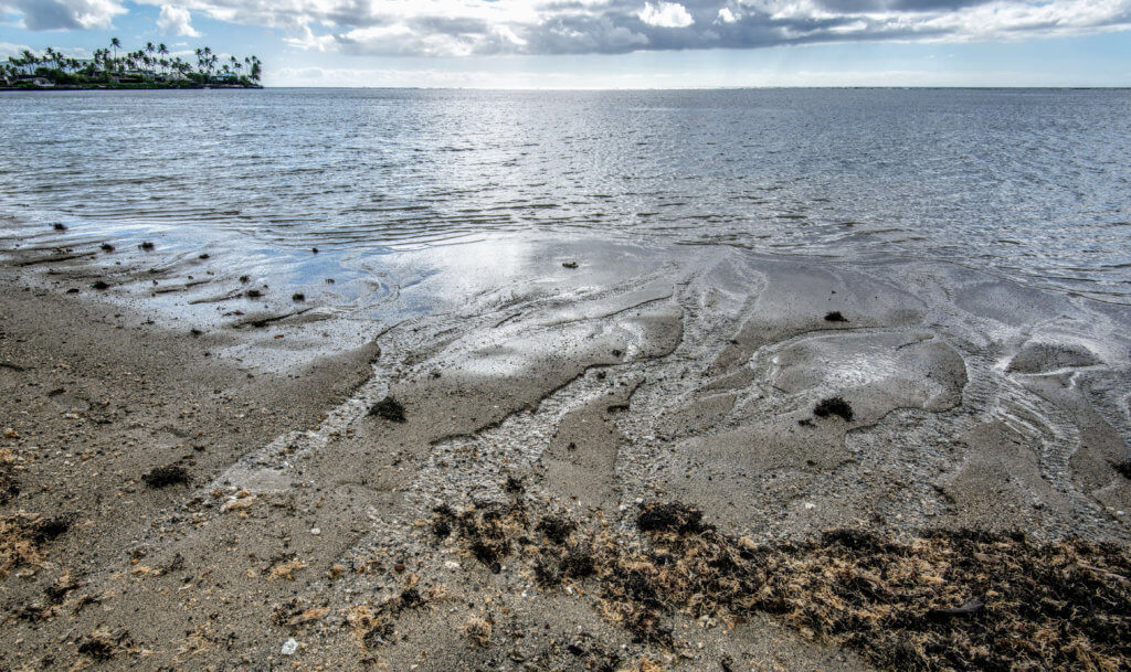 Coastal groundwater / ocean discharge study