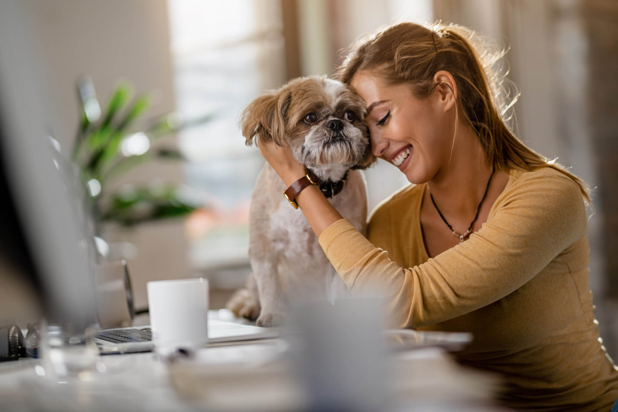 Petting, cuddling with a dog can significantly enhance your well-being