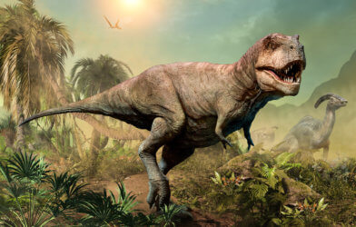Tyrannosaurus rex (T-rex) and dinosaurs