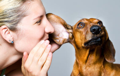 Woman telling her dog a secret
