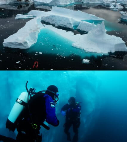Iceberg habitat