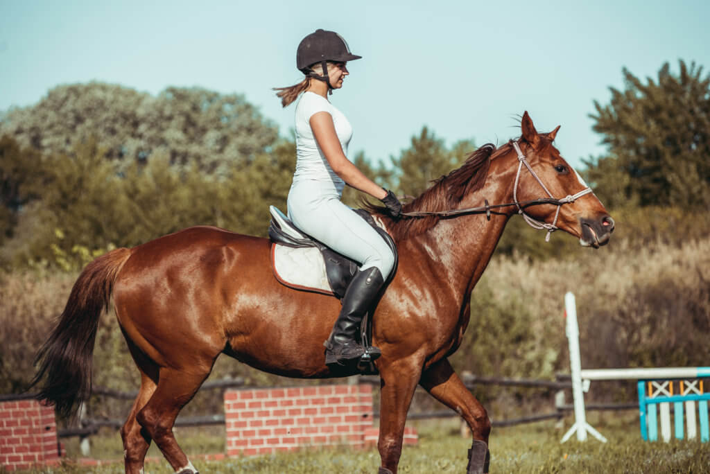 Woman horseback riding