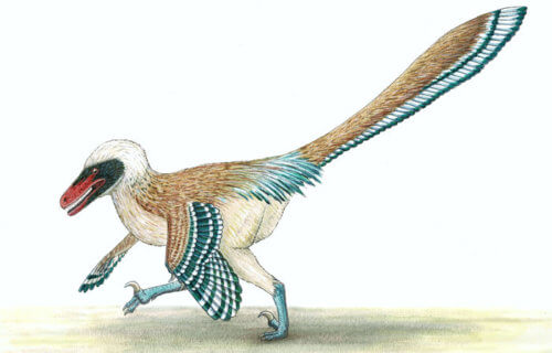 Vectiraptor greeni