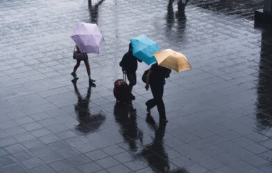 rain umbrellas
